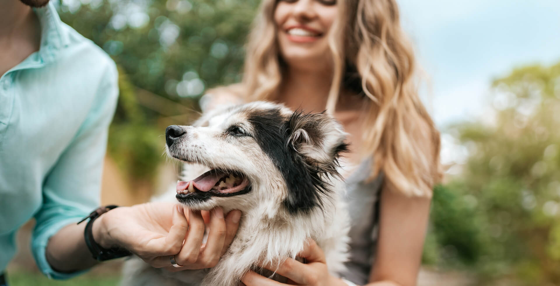 Pet-Friendly <br> Spaces